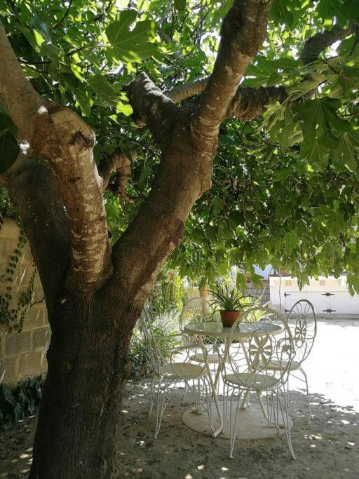 Casa La Higuera Villa ชูลีญา ภายนอก รูปภาพ