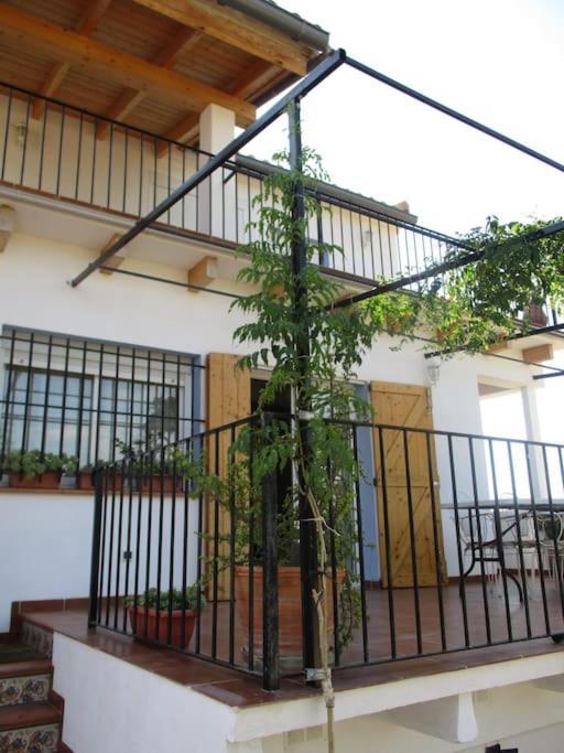 Casa La Higuera Villa ชูลีญา ภายนอก รูปภาพ