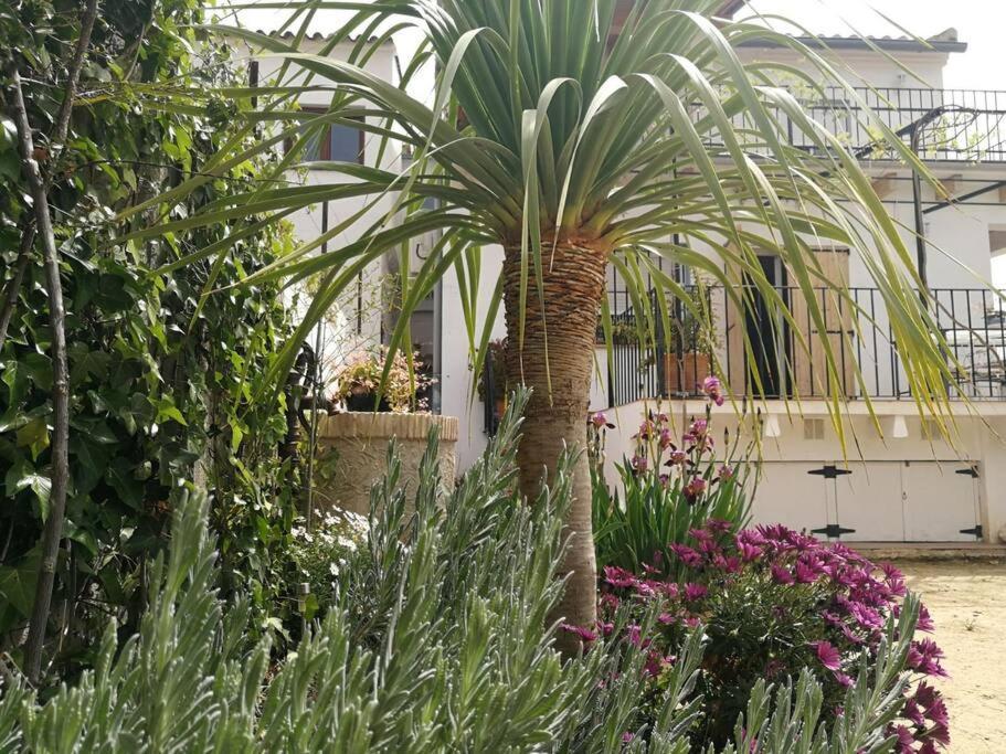 Casa La Higuera Villa ชูลีญา ภายนอก รูปภาพ